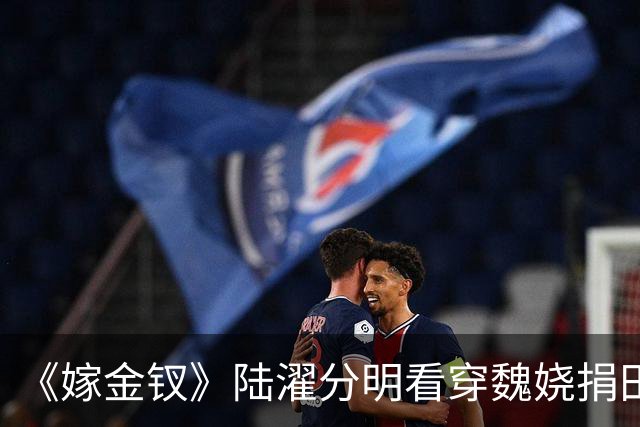 《嫁金钗》陆濯分明看穿魏娆捐田散财是在留后路，为什么还救她？